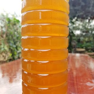 Mật ong hoa cà phê Thành Nam 1l