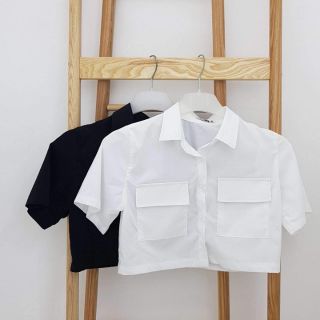 Set sơ mi lửng