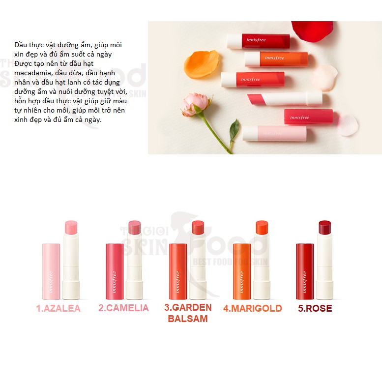 [NEW 2019] Son Dưỡng Môi Có Màu Innisfree Glow Tint Lip Balm