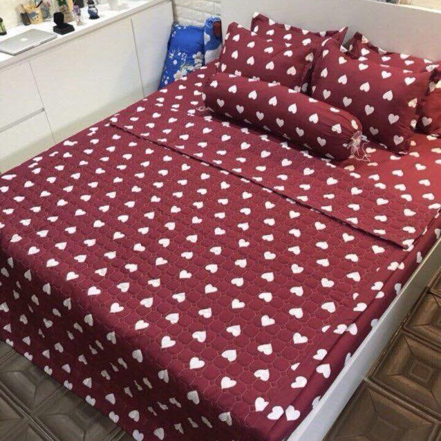 Bộ trần hè 5 món poly cotton. (Mua 2 bộ, tặng 1 chai nước hoa)