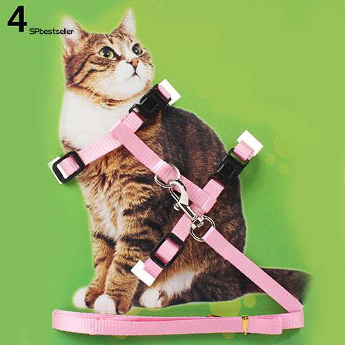 Dây đai dắt mèo cưng đi dạo an toàn
