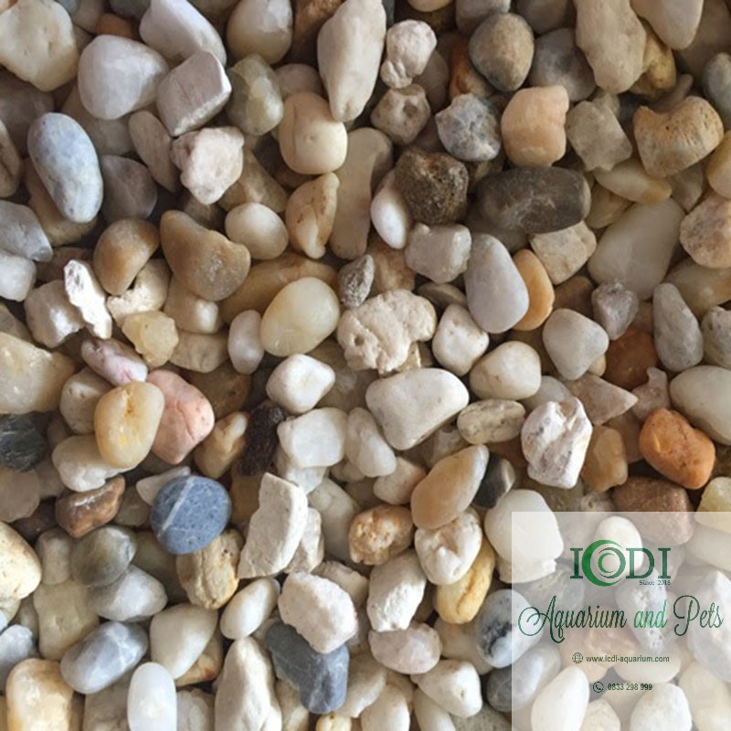 Sỏi 3 màu trang trí bể cá