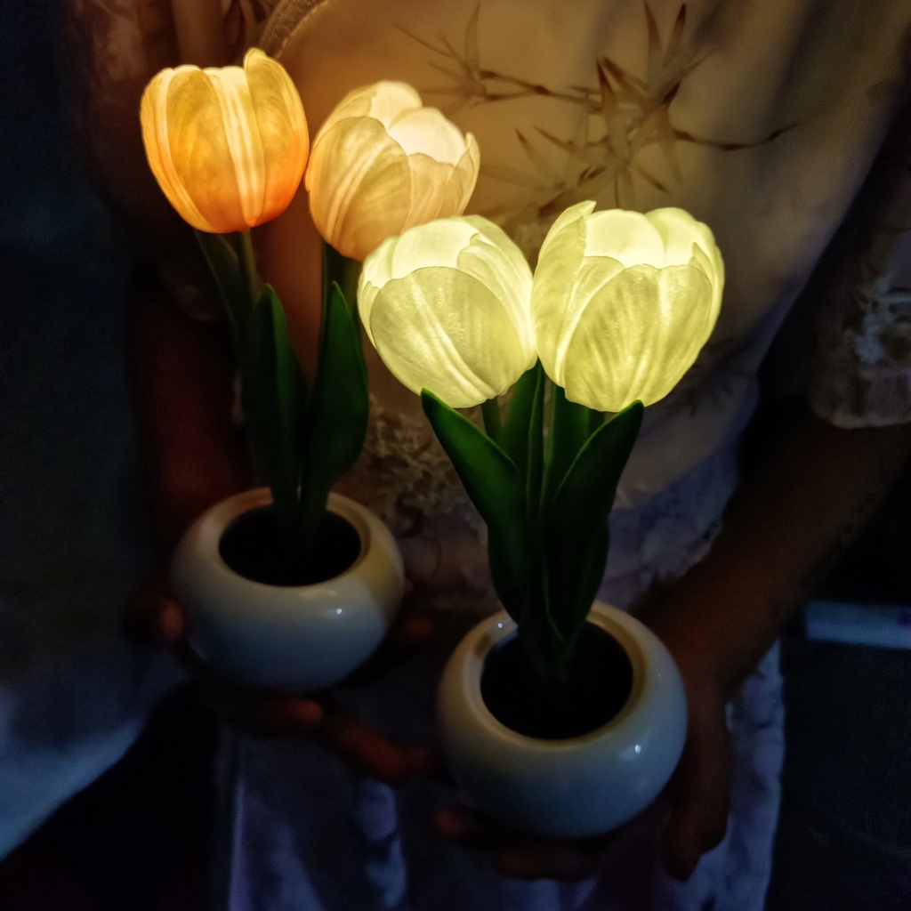Đèn ngủ hoa tulip trang trí để bàn , phòng ngủ cực đẹp