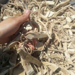 1 kg rễ đinh lăng khô