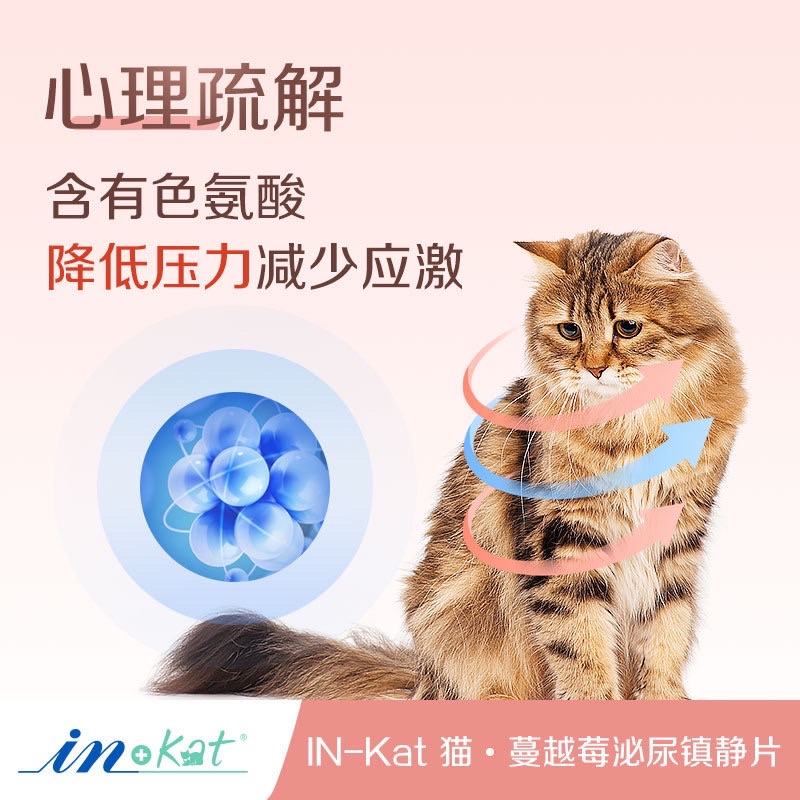 Bổ thận InKat hỗ trợ tiết niệu phòng tránh bệnh thận cho mèo chiết xuất việt quất Surica IN05 (120v)