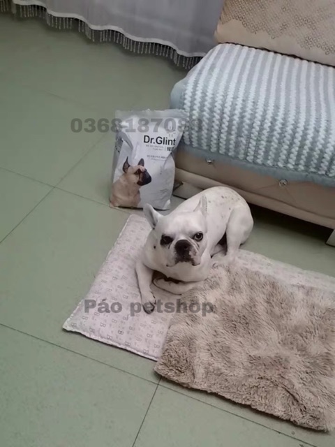 [Mã PET50K giảm Giảm 10% - Tối đa 50K đơn từ 250K] Thức ăn cho chó Bull pháp - DR. Glint - Túi 2kg