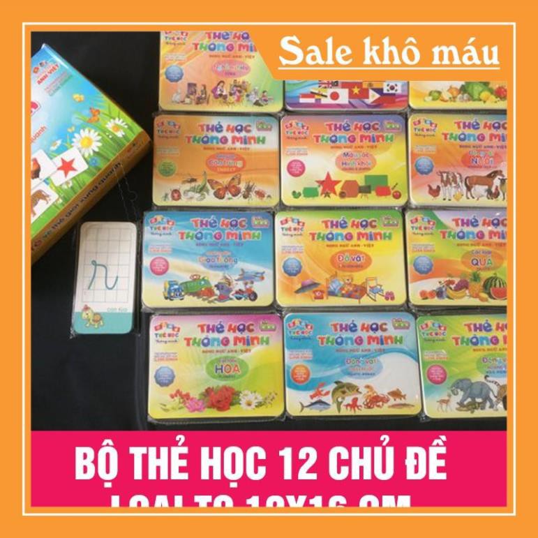 Bộ thẻ học thông minh 12 chủ đề cho bé loại to tặng kèm bộ chữ cái và số (270 thẻ)