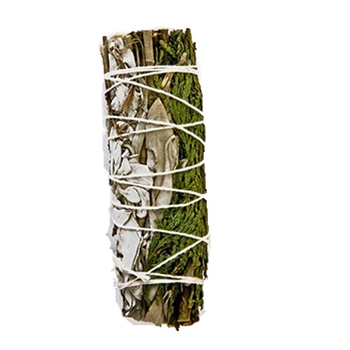 Bó xô thơm trắng - Tuyết tùng 10cm xông thơm nhà cửa