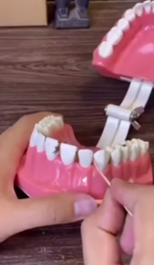 🍉Set 100/ 50/ 25 Tăm Chỉ Nha Khoa Dental Floss Đảm Bảo An Toàn Răng Miệng DUASHOP. | BigBuy360 - bigbuy360.vn