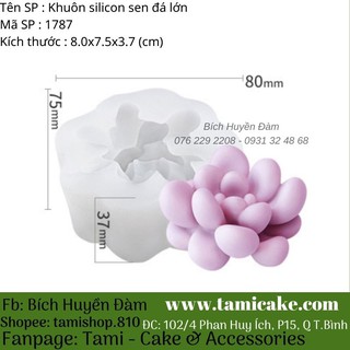 Khuôn silicon 4D - Sen đá