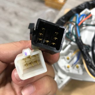 Đồng hồ wave alpha chính hãng