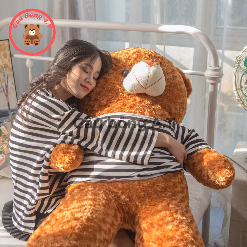 HOT Gấu Bông Teddy - Thú Nhồi Bông Teddy Màu Nâu Vàng Size 90cm-1m2 - Gấu Bông A.T_A.T008