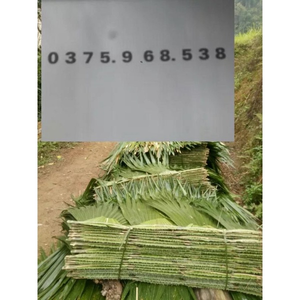 Phên lá cọ lợp nhà xuất khẩu