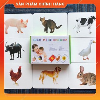 GDKIDS THẺ HỌC THẾ GIỚI XUNG QUANH CHUẨN GLENN DOMAN SONG NGỮ 10 CHỦ ĐỀ