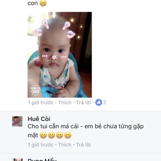 Combo 2 túi lợi sữa