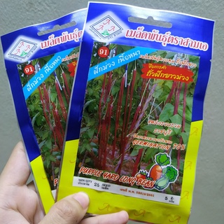 HẠT GIỐNG ĐẬU ĐŨA TÍM