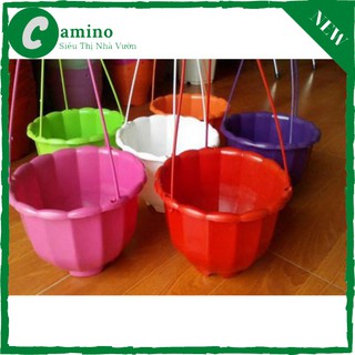 Chậu bí treo các màu sr20cm