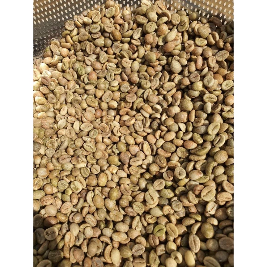 1 kg Cà Phê Nhân Xanh robusta (hạt chưa rang)