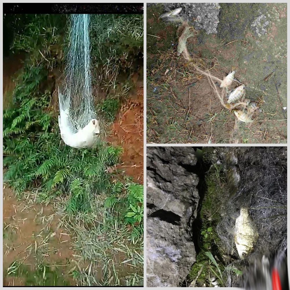 Lưới đánh cá có hạt đồng dạ quang độc đáo