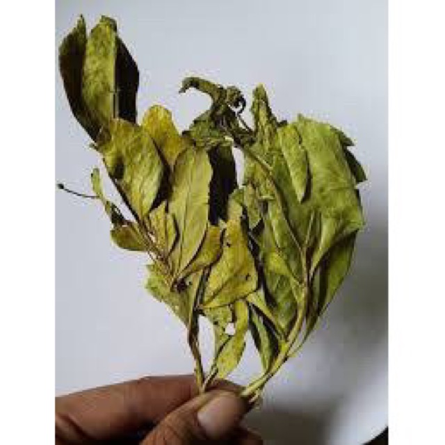 Combo 1 kg xạ đen nguyên chất 100% lá xạ k thân