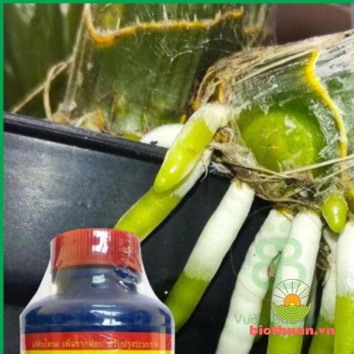 Vitamin B1 Thái lan (100ml)