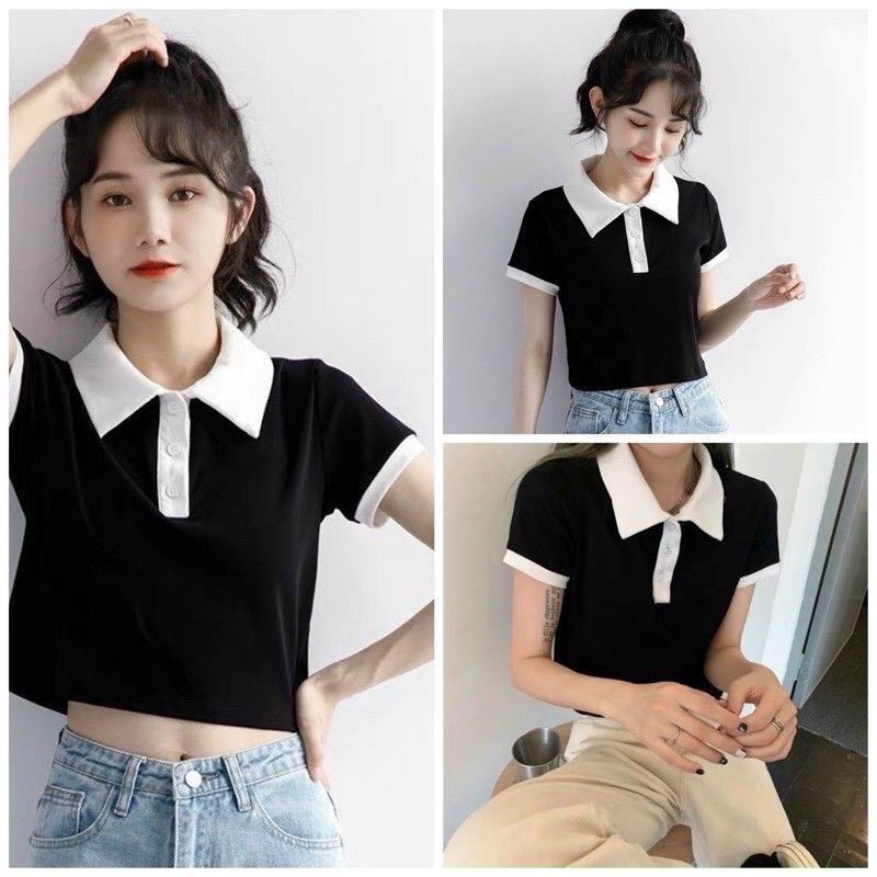 Áo PoLo Croptop phối viền nút gài- áo dễ thương cực.