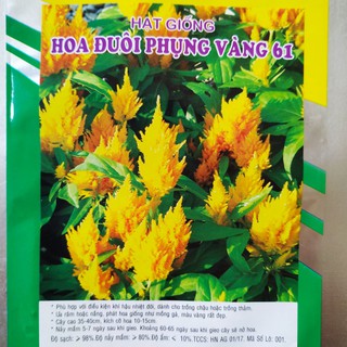 Hạt giống HOA ĐUÔI PHỤNG VÀNG