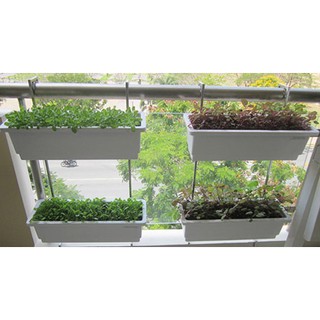chậu dài trồng hoa,rau để ban công,sân thượng