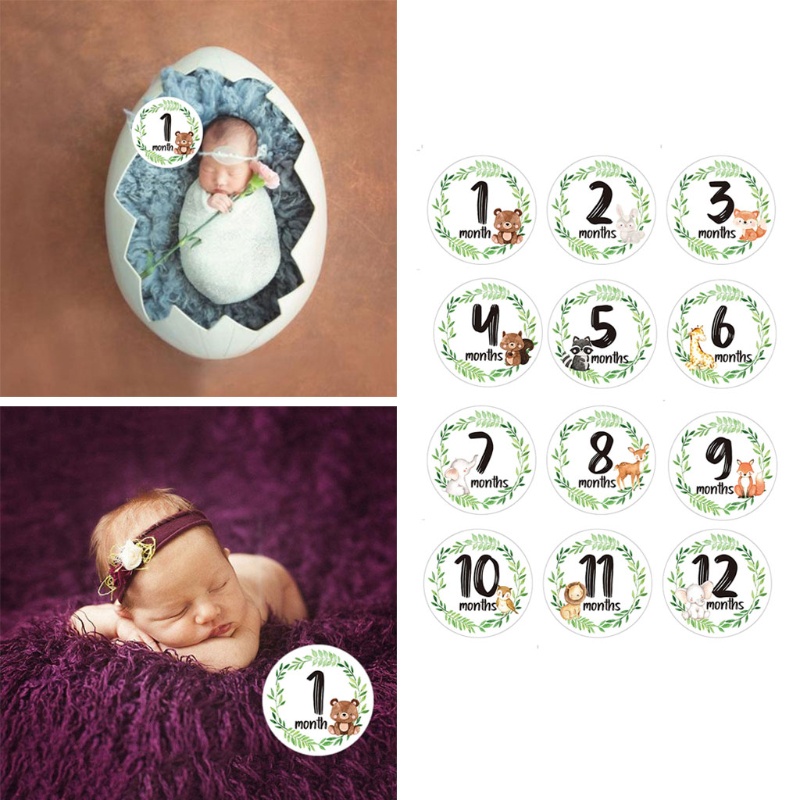 Bộ 12 Miếng Dán Đánh Dấu Cột Mốc Tháng In Họa Tiết Hoa Trang Trí Kỷ Niệm