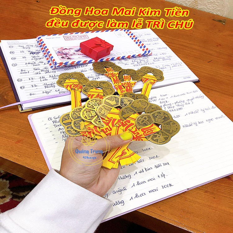 Đồng Tiền Hoa Mai ⭐FREESHIP⭐ Kim Tiền Tài Lộc | BigBuy360 - bigbuy360.vn