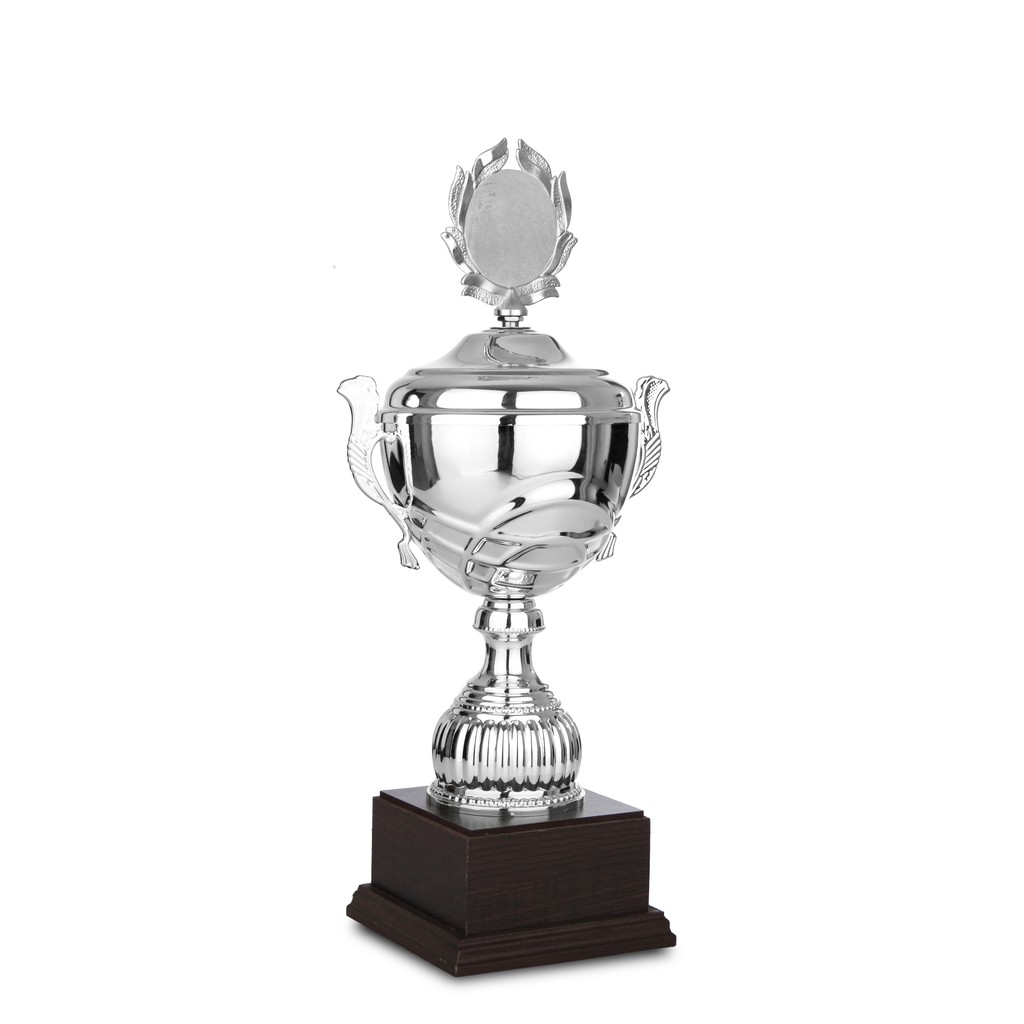 Cúp thể thao Quà Việt 8B0188/8V0188