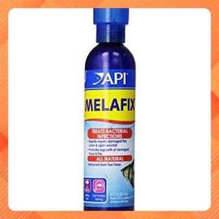 Melafix - thuốc cao cấp dành cho hồ cá cảnh