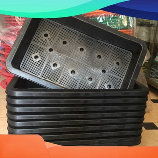 Combo 10 Chậu nhựa trồng rau sạch thông minh | Khay trồng rau thế hệ mới