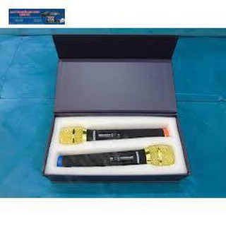 BỘ MICRO KHÔNG DÂY TEMEISHENG W48 2MICRO
