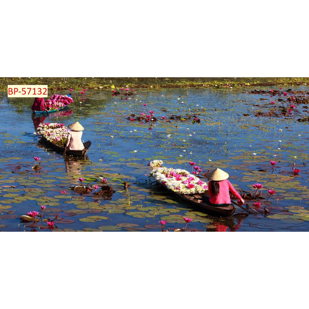 Tranh dán tường miền sông nước, cầu đẹp, hoàng hôn Việt Nam 3D in theo kích thước yêu cầu – Không giới hạn kích thước.