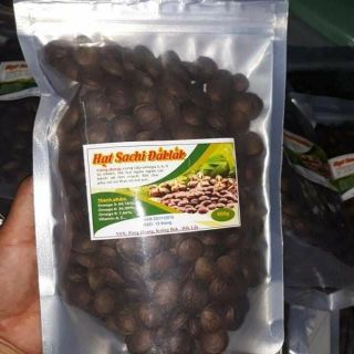 Hạt sachi đắt lắt