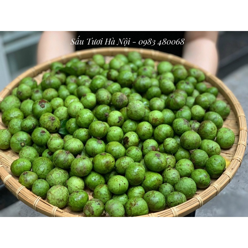 Sấu Hà Nội Ngâm Đường Truyền Thống - Nhà làm siêu ngon - Giòn Thơm Ngon - Ship siêu tốc 2h