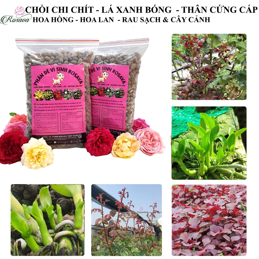 Phân dê hữu cơ vi sinh ROSAVA đã qua xử lý trồng lan, bón hoa hồng, giấy, sen đá, cây cảnh, dâu tây, rau