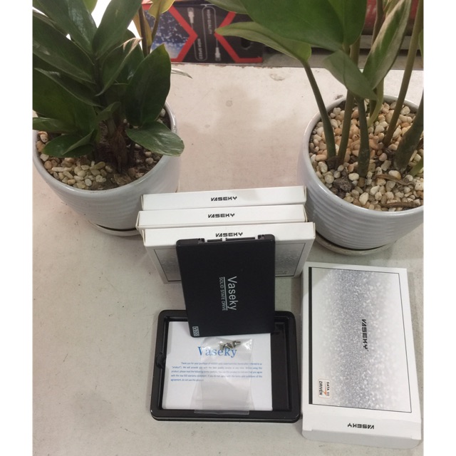 Ssd 120g new siêu rẻ