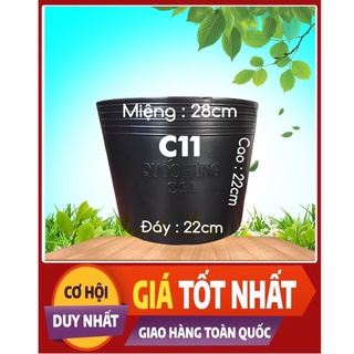 Chậu nhựa trồng cây,trồng hoa,trồng rau C11 giá tại xưởng