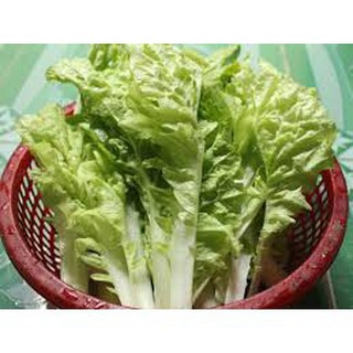 Hạt Giống Cải Bẹ Dún 10gram