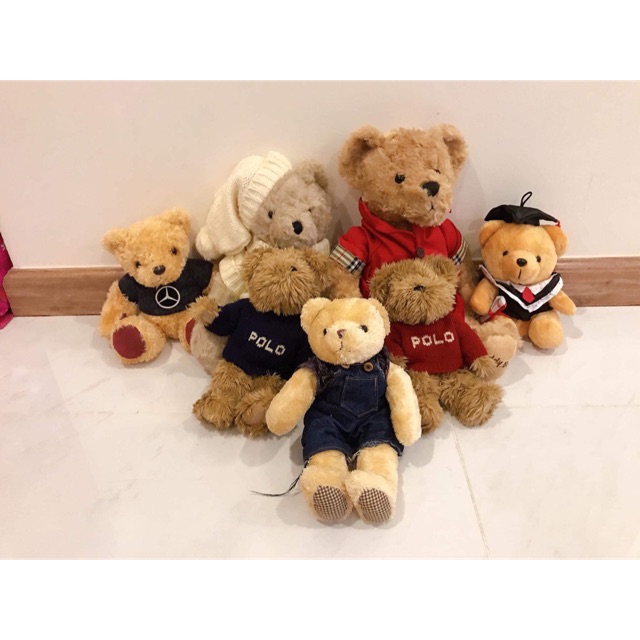 Gấu bôbg teddy