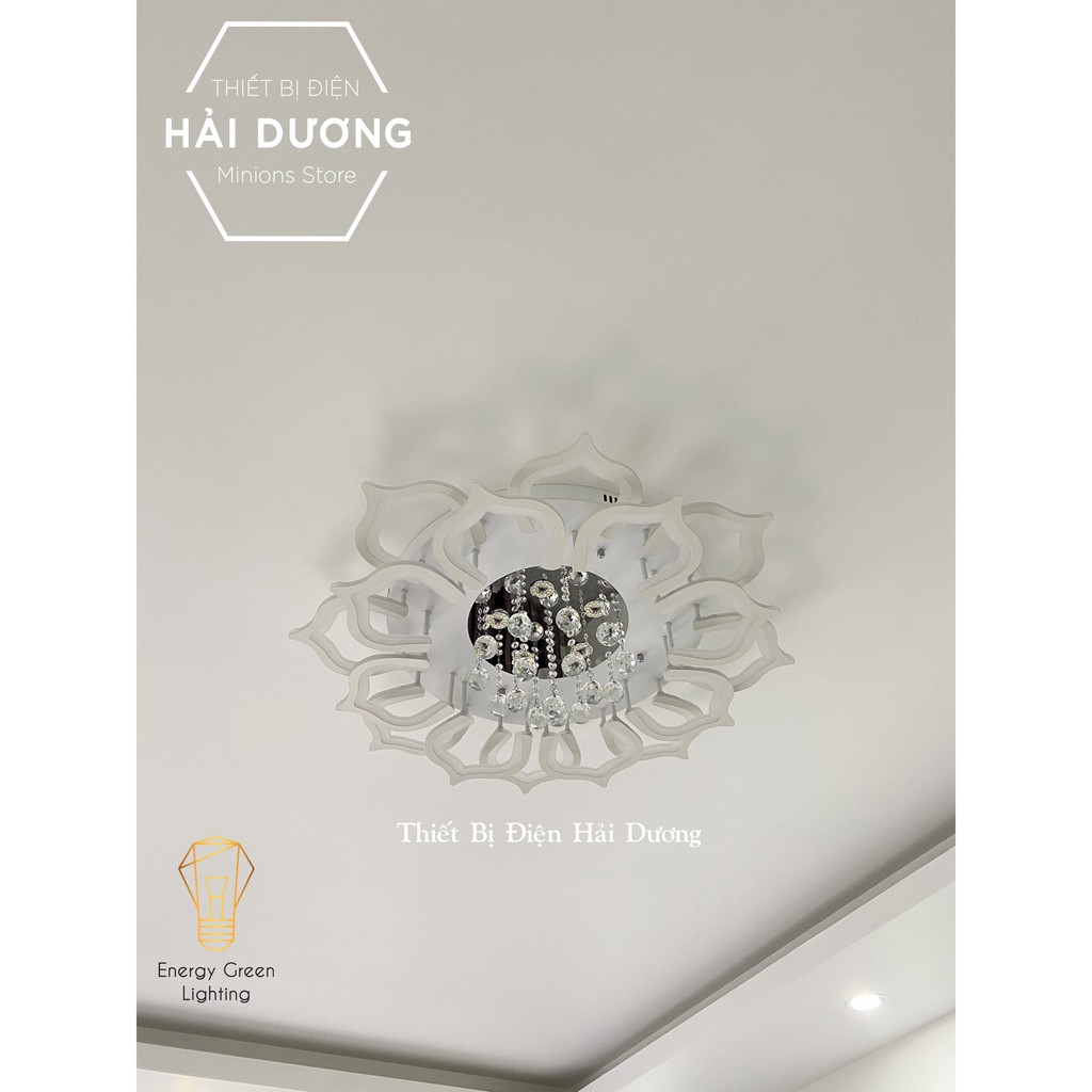 Đèn LED ốp trần hình hoa sen pha lê lấp lánh 16 cánh NT-033 - 3 Chế độ ánh sáng - Có điều khiển từ xa