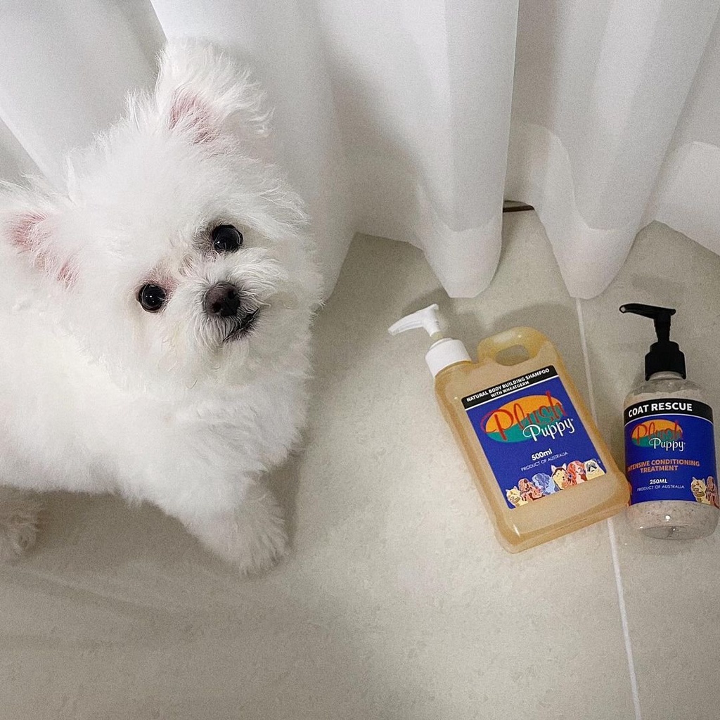 Sữa tắm chó mèo PLUSH PUPPY tinh chất lúa mỳ giúp bông lông - Natural Body Building Shampoo with Wheatgerm