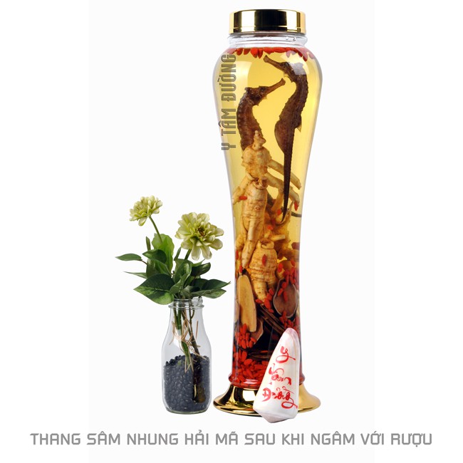Thang ngâm rượu Sâm Nhung Hải Mã