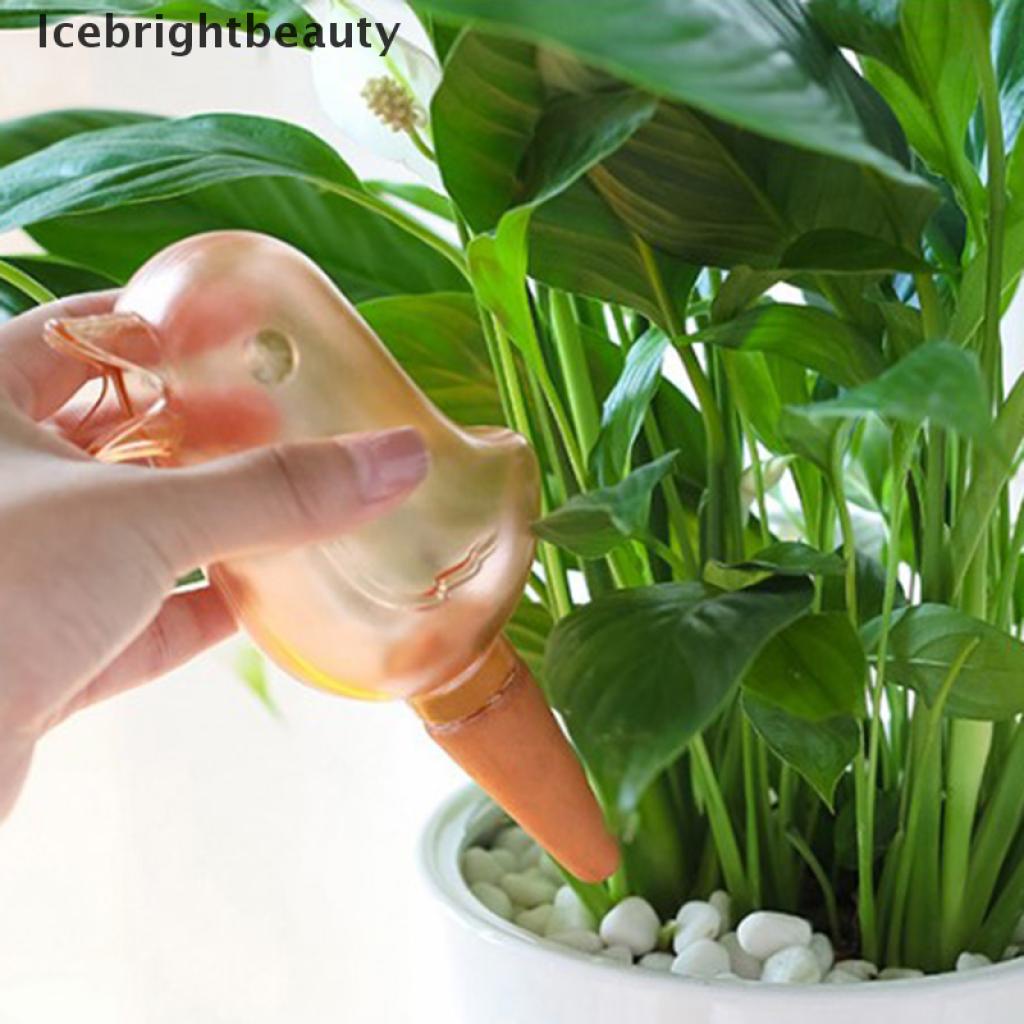 Hệ Thống Tưới Nước Tự Động Trong Nhà Hình Chú Chim Dễ Thương