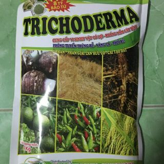 Phân Bón Trung Vi Lượng TRICHODERMA chứa 8 Tỷ bào khuẩn