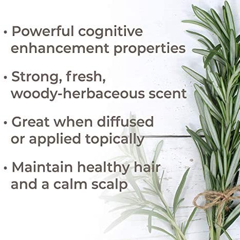 Tinh dầu Hương Thảo  hữu cơ Rosemary Plant Therapy USDA organic -100% thiên nhiên nguyên chất pure natural essntial oil