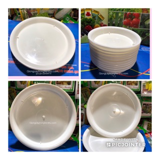 ĐĨA LÓT CHẬU CÂY CẢNH PHI 30