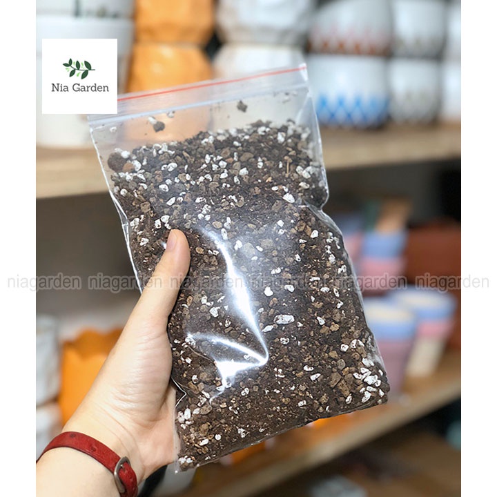 Đất trồng sen đá xương rồng trộn sẵn giá thể cho kiểng lá cây để bàn Nia Garden N6